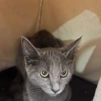 Photo of Freyja