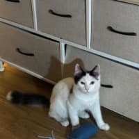 Photo of Hugh And Imogen 