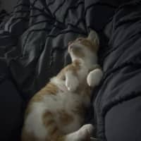 Photo of Ted