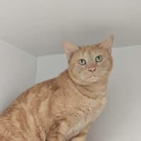 Photo of Narmi