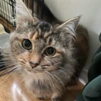 Photo of Astra 