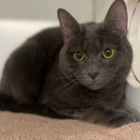 Photo of Lilith