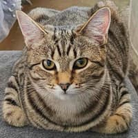 Photo of 11900   April