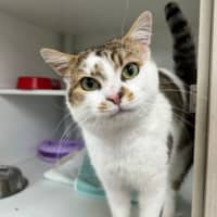 Photo of Georgie