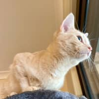 Photo of Benny & Goldie