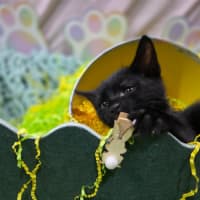 Photo of Jelly Belly