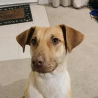 Photo of Missy 