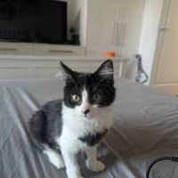 Photo of Nini 