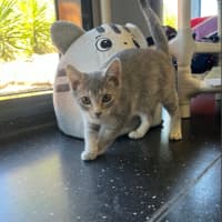 Photo of Funshine