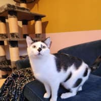 Photo of Charlie