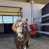 Photo of Kaiser