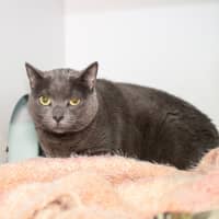 Photo of Missy