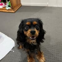 Photo of Walter Quinnell