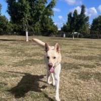 Photo of Polar