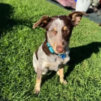 Photo of Cash