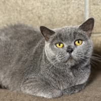 Photo of Fafa And Britt