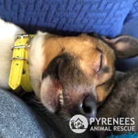 Photo of Bert And Ernie