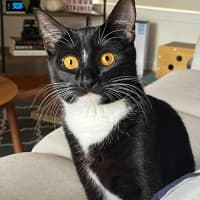 Photo of Luna 