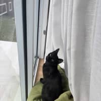 Photo of Merp (Previously Leanne) 