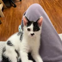 Photo of Charlie