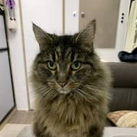 Photo of Hazel