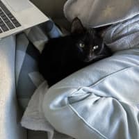 Photo of Milo   Malvern 