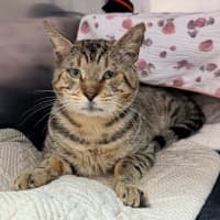 Photo of Bruce Wayne