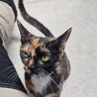 Photo of Faye (8925)