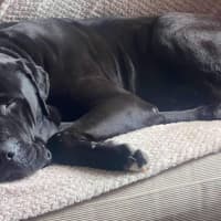 Photo of Jed