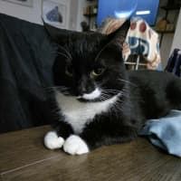 Photo of Mr Moustache