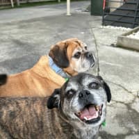 Photo of Covah And Teddy