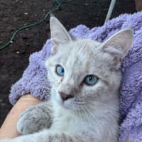 Photo of Rowena
