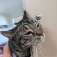 Photo of Bruce