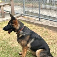 Photo of Abby