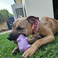 Photo of Mila