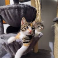 Photo of Eliza