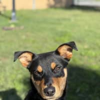 Photo of Louis