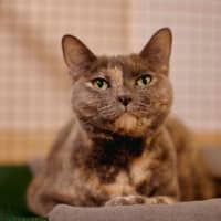 Photo of Barb
