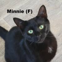 Photo of Minnie