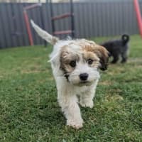 Photo of Errol