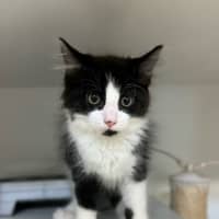 Photo of Ralph 