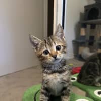 Photo of Tim Tam