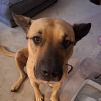 Photo of Turbo 