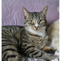 Photo of Abby