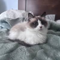 Photo of Clara 