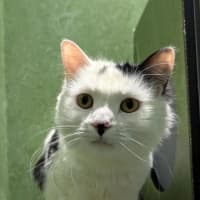 Photo of Larry