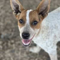 Photo of Cash
