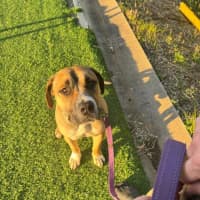 Photo of Archer Tamblyn