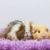 Photo of Shirley