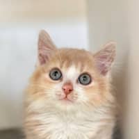 Photo of Jasper